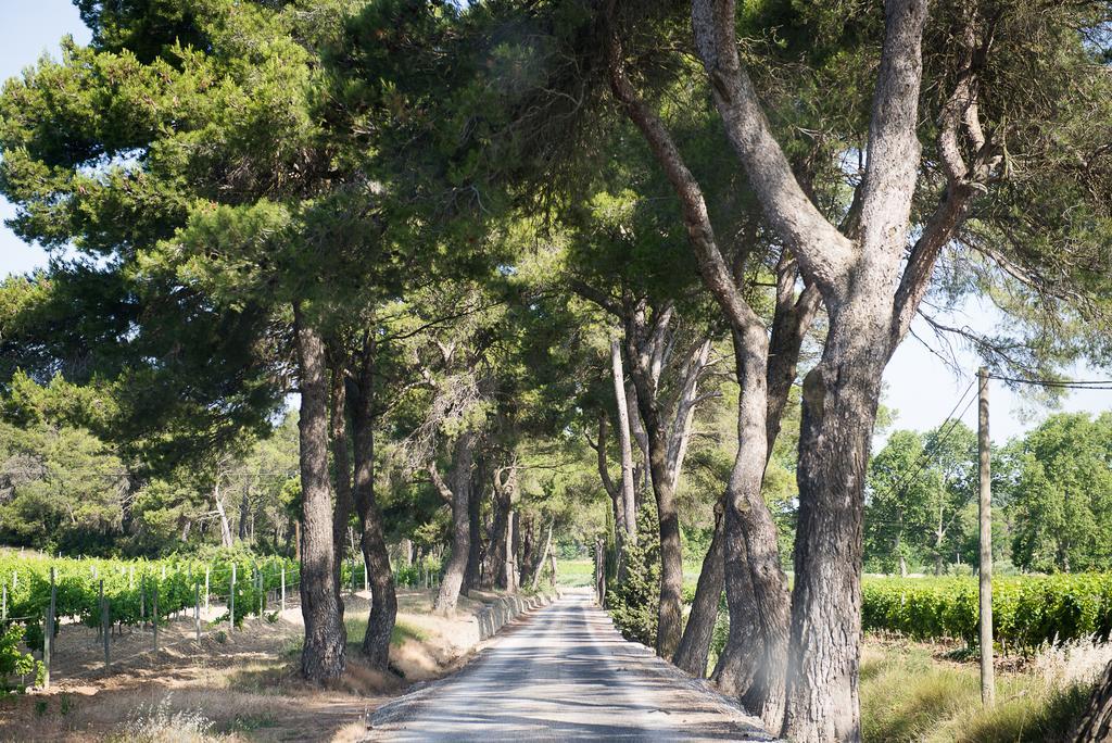 Chateau Canet Villa Rustiques Eksteriør bilde