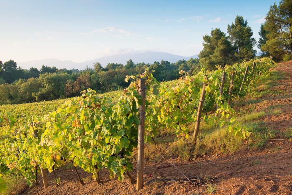 Chateau Canet Villa Rustiques Eksteriør bilde