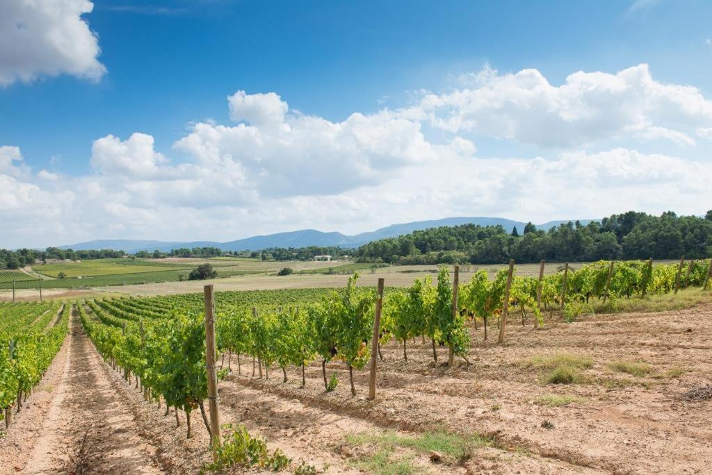 Chateau Canet Villa Rustiques Eksteriør bilde